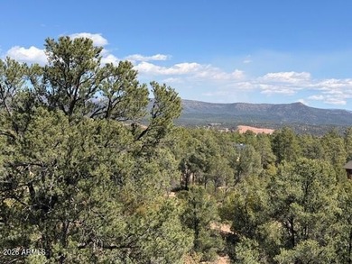 TERRIFIC MOGOLLON RIM, MONUMENT PEAK, & STEWART MOUNTAIN - photo 31
