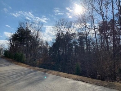 Heron Landing is a upscale community, but this is very - Lake Lot For Sale in Gretna, Virginia