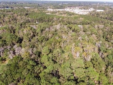 4.5 acres with So many possibilities just off Riviere Du Chien - photo 1