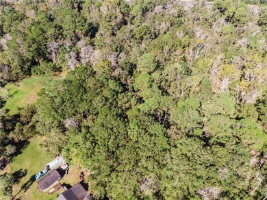4.5 acres with So many possibilities just off Riviere Du Chien - photo 2
