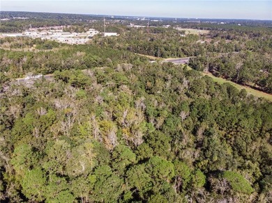 4.5 acres with So many possibilities just off Riviere Du Chien - photo 4