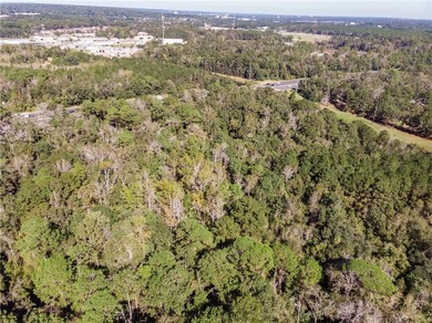 4.5 acres with So many possibilities just off Riviere Du Chien - photo 5