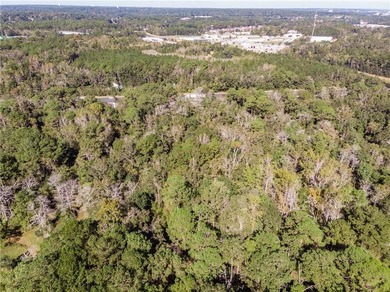 4.5 acres with So many possibilities just off Riviere Du Chien - photo 6