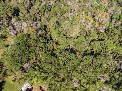 4.5 acres with So many possibilities just off Riviere Du Chien - photo 7