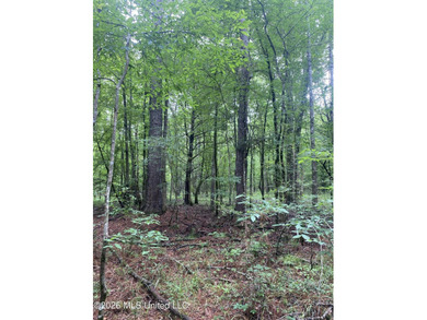 **Secluded Hardwood Haven in Amite County, Mississippi!** Escape - photo 11