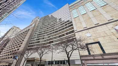 Lake Michigan - Cook County Condo For Sale in Chicago Illinois