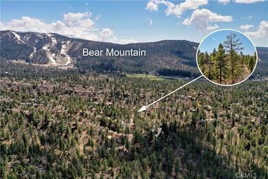 Big Bear Lake Lot For Sale in Big Bear Lake California
