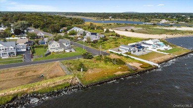 Accepting Back Up Offers Waterfront Lot with Bulkhead - Build - photo 12