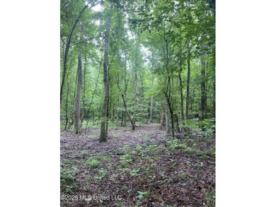**Secluded Hardwood Haven in Amite County, Mississippi!** Escape - photo 13