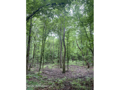 **Secluded Hardwood Haven in Amite County, Mississippi!** Escape - photo 14