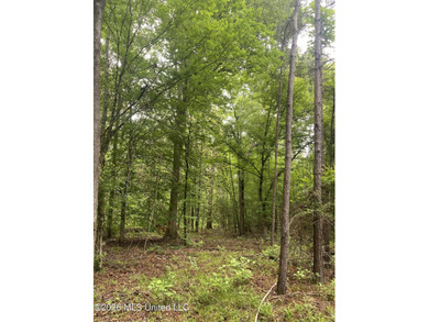**Secluded Hardwood Haven in Amite County, Mississippi!** Escape - photo 15