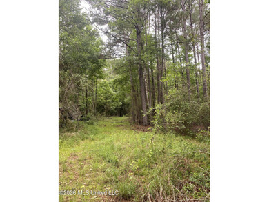 **Secluded Hardwood Haven in Amite County, Mississippi!** Escape - photo 16
