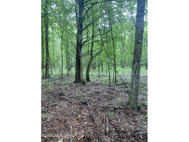 **Secluded Hardwood Haven in Amite County, Mississippi!** Escape - photo 21