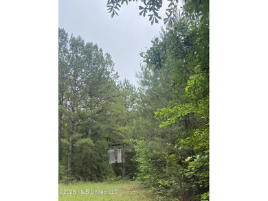 **Secluded Hardwood Haven in Amite County, Mississippi!** Escape - photo 23