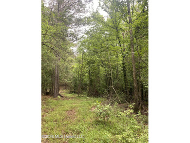 **Secluded Hardwood Haven in Amite County, Mississippi!** Escape - photo 27