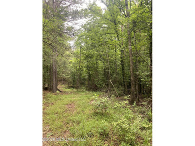 **Secluded Hardwood Haven in Amite County, Mississippi!** Escape - photo 28
