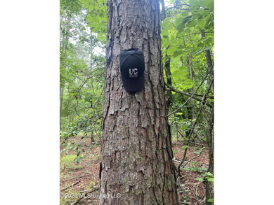 **Secluded Hardwood Haven in Amite County, Mississippi!** Escape - photo 29