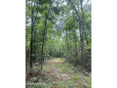 **Secluded Hardwood Haven in Amite County, Mississippi!** Escape - photo 30