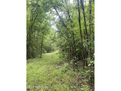 **Secluded Hardwood Haven in Amite County, Mississippi!** Escape - photo 31