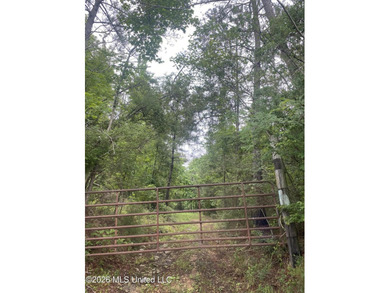 **Secluded Hardwood Haven in Amite County, Mississippi!** Escape - photo 32