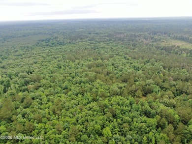 **Secluded Hardwood Haven in Amite County, Mississippi!** Escape - photo 33