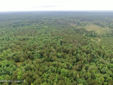 **Secluded Hardwood Haven in Amite County, Mississippi!** Escape - photo 34