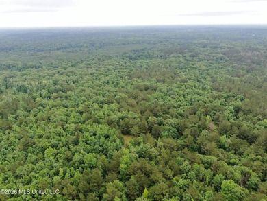 **Secluded Hardwood Haven in Amite County, Mississippi!** Escape - photo 35