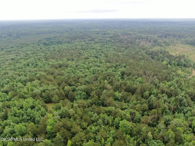 **Secluded Hardwood Haven in Amite County, Mississippi!** Escape - photo 36