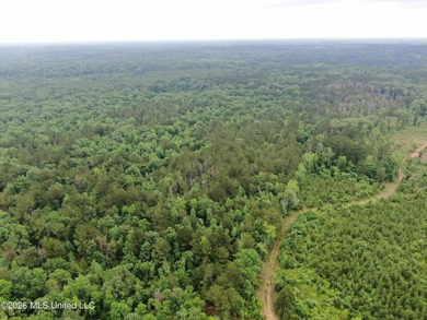 **Secluded Hardwood Haven in Amite County, Mississippi!** Escape - photo 37