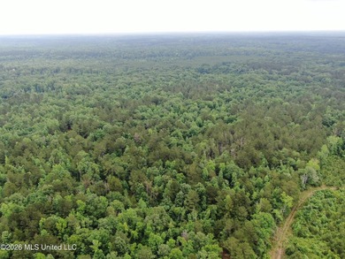 **Secluded Hardwood Haven in Amite County, Mississippi!** Escape - photo 38