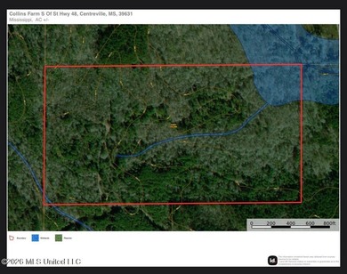 **Secluded Hardwood Haven in Amite County, Mississippi!** Escape - photo 40