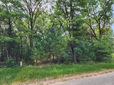 Lake Lot For Sale in Arkdale, Wisconsin