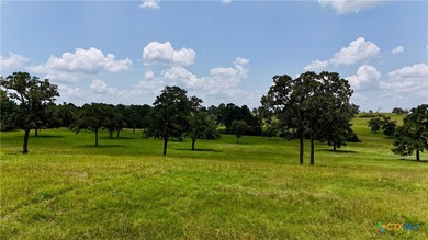 (private lake, pond, creek) Acreage For Sale in Rosanky Texas