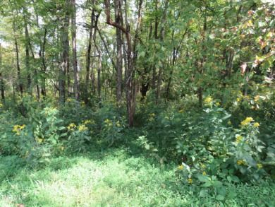 Cherokee Lake Lot For Sale in Rogersville Tennessee
