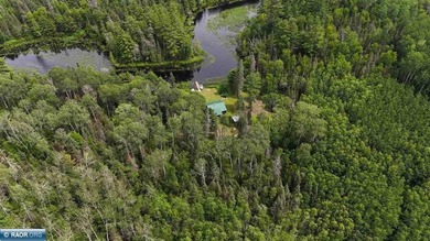 Looking for privacy, look no further. This 40-acre boat/ATV - photo 12