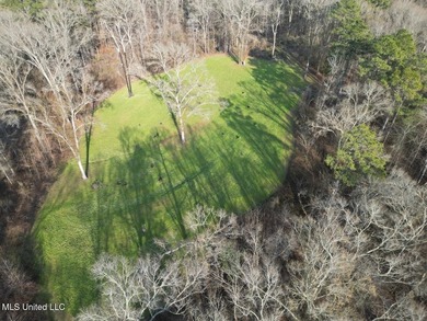 Tucked just off Highway 61 in Lorman, Mississippi, this 140+/- - photo 13