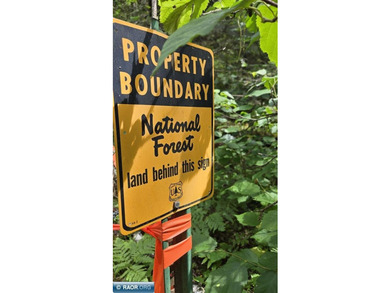 Looking for privacy, look no further. This 40-acre boat/ATV - photo 13