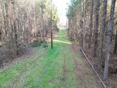 Tucked just off Highway 61 in Lorman, Mississippi, this 140+/- - photo 14