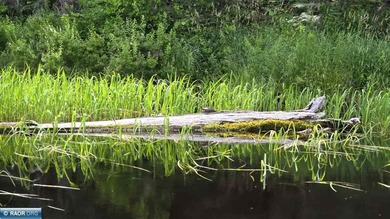 Looking for privacy, look no further. This 40-acre boat/ATV - photo 15