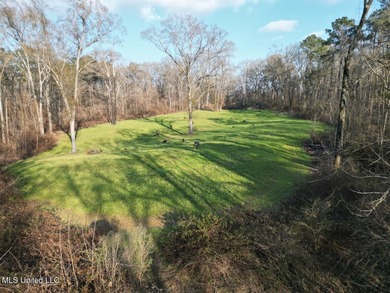 Tucked just off Highway 61 in Lorman, Mississippi, this 140+/- - photo 16