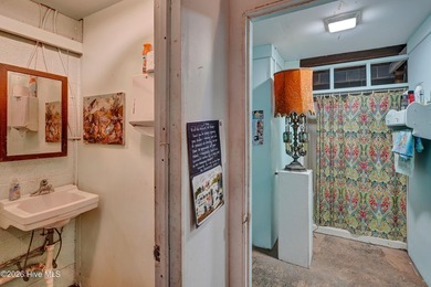 Rare multi-parcel offering in Wilmington's sought-after Brooklyn - photo 17