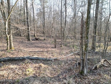 Tucked just off Highway 61 in Lorman, Mississippi, this 140+/- - photo 17