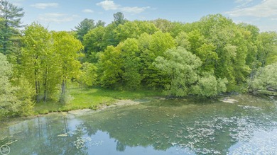 (private lake, pond, creek) Acreage For Sale in Orion Twp Michigan