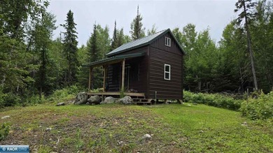 Looking for privacy, look no further. This 40-acre boat/ATV - photo 32