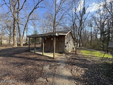 Tucked just off Highway 61 in Lorman, Mississippi, this 140+/- - photo 35