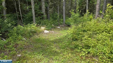 Looking for privacy, look no further. This 40-acre boat/ATV - photo 39