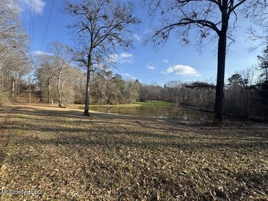 Tucked just off Highway 61 in Lorman, Mississippi, this 140+/- - photo 41