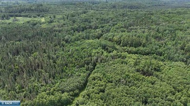 Looking for privacy, look no further. This 40-acre boat/ATV - photo 42
