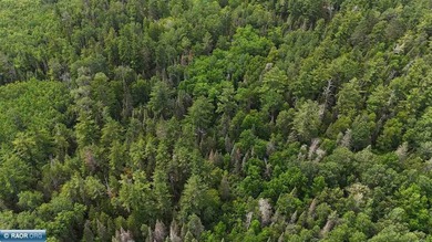 Looking for privacy, look no further. This 40-acre boat/ATV - photo 43