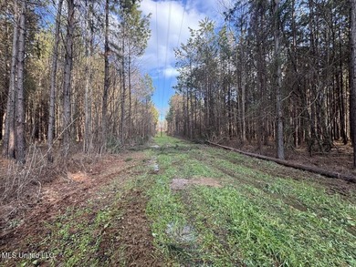 Tucked just off Highway 61 in Lorman, Mississippi, this 140+/- - photo 44